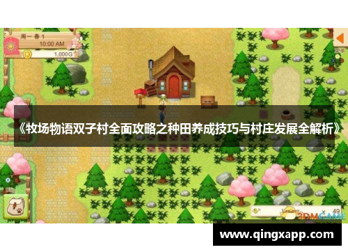 《牧场物语双子村全面攻略之种田养成技巧与村庄发展全解析》