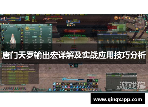 唐门天罗输出宏详解及实战应用技巧分析