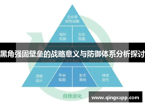 黑角强固壁垒的战略意义与防御体系分析探讨