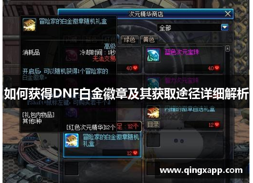 如何获得DNF白金徽章及其获取途径详细解析